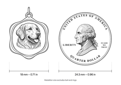 Scale drawing: the 18 mm medallion beside a US quarter (24.3 mm)
