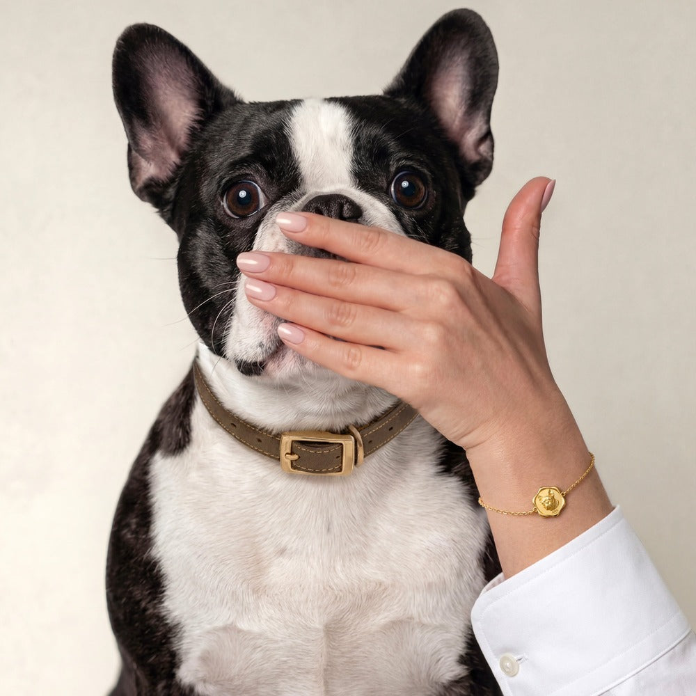 The bracelet on a wrist beside a French Bulldog, shown at true size #chain